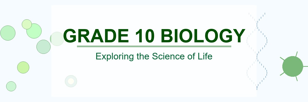 Bio10