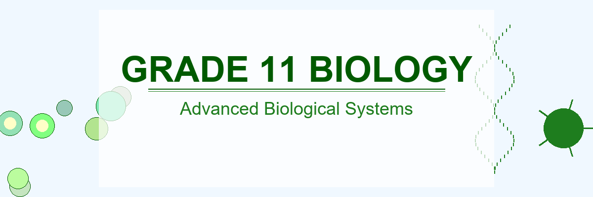 Bio11